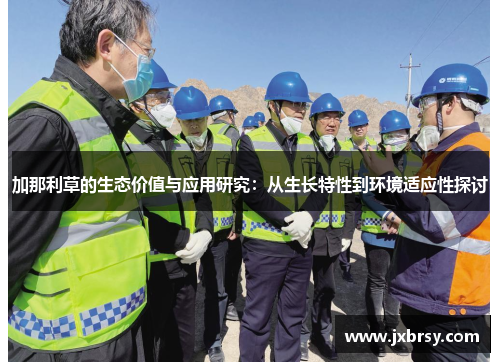 加那利草的生态价值与应用研究:从生长特性到环境适应性探讨 加那利草的生态价值与应用研究:从生长特性到环境适应性探讨