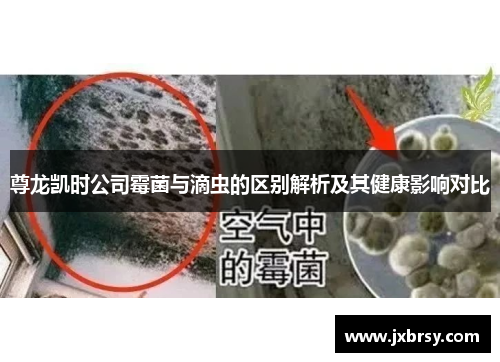 尊龙凯时公司霉菌与滴虫的区别解析及其健康影响对比 尊龙凯时公司霉菌与滴虫的区别解析及其健康影响对比