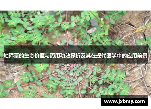 地锦草的生态价值与药用功效探析及其在现代医学中的应用前景 地锦草的生态价值与药用功效探析及其在现代医学中的应用前景