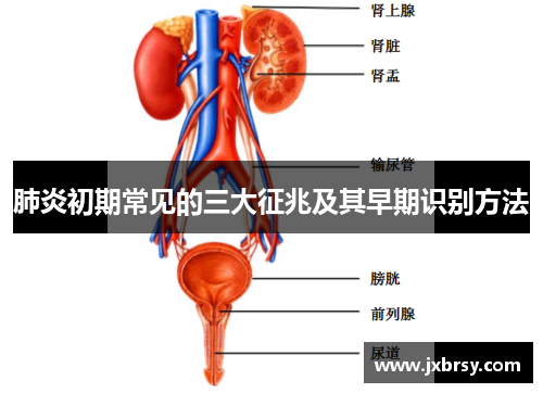 肺炎初期常见的三大征兆及其早期识别方法